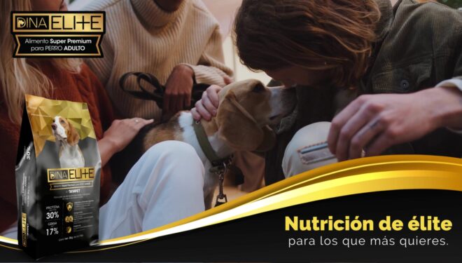 Dinaelite croquetas super premium para perro adulto.