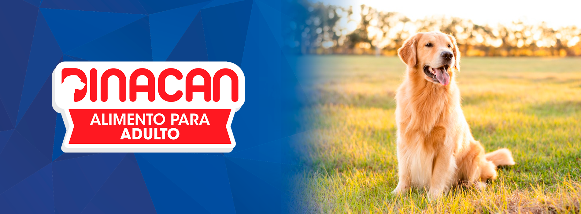 Portada landing page Dinacan