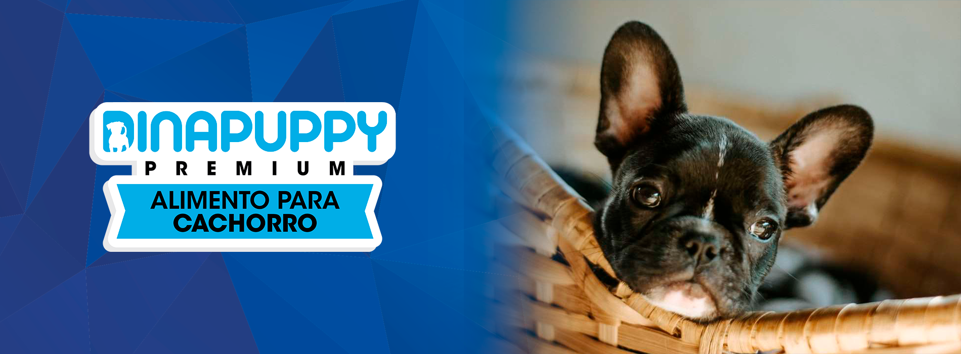 Portada landing page Dinapuppy