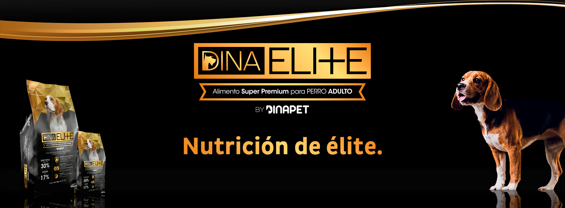 Portada lanidng page Dinaelite