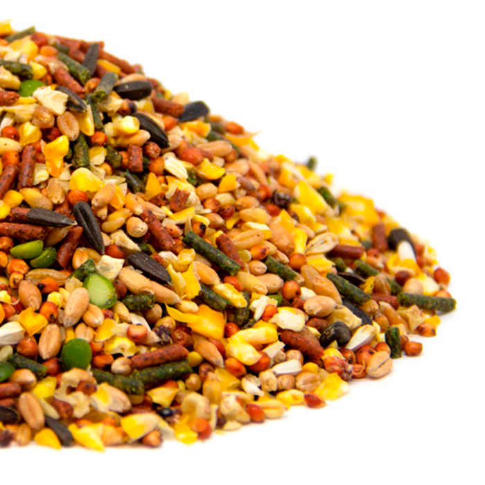 Alimento Dinagallo
