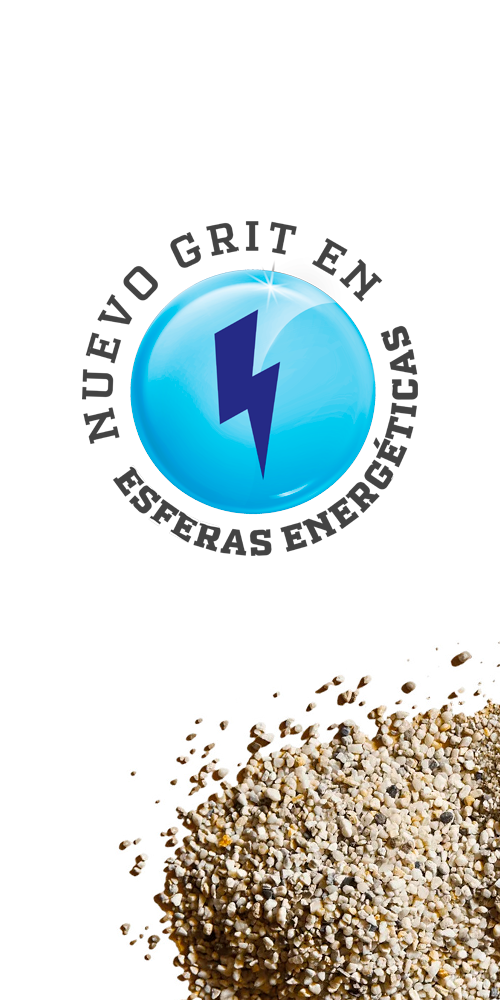 Grit Dinagallo pagina web 3