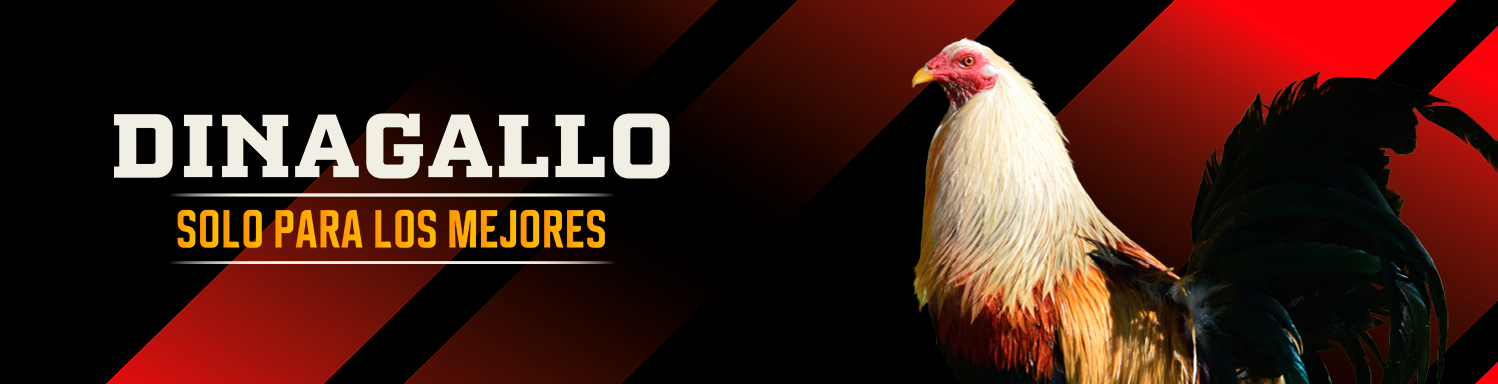 Portada landing page Dinagallo