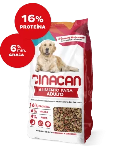 Dinacan adulto