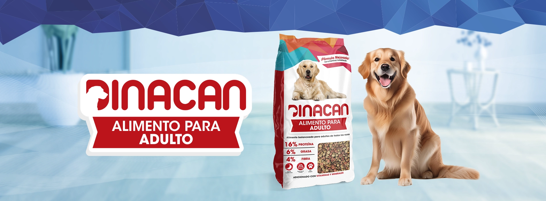 Dinacan Adulto Dinacan Adulto