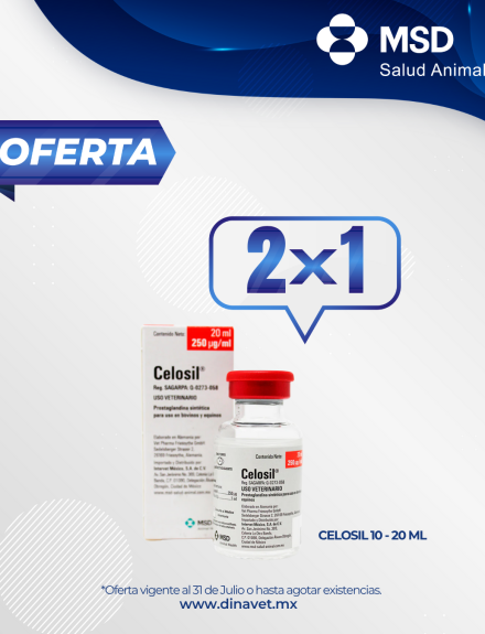 CELOSIL 20 ML MSD