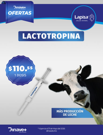 Oferta-Lapisa-LACTOTROPINA