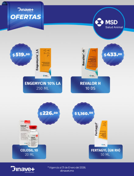 Oferta MSD