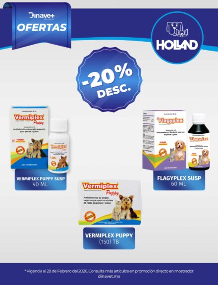 Ofertas Holland