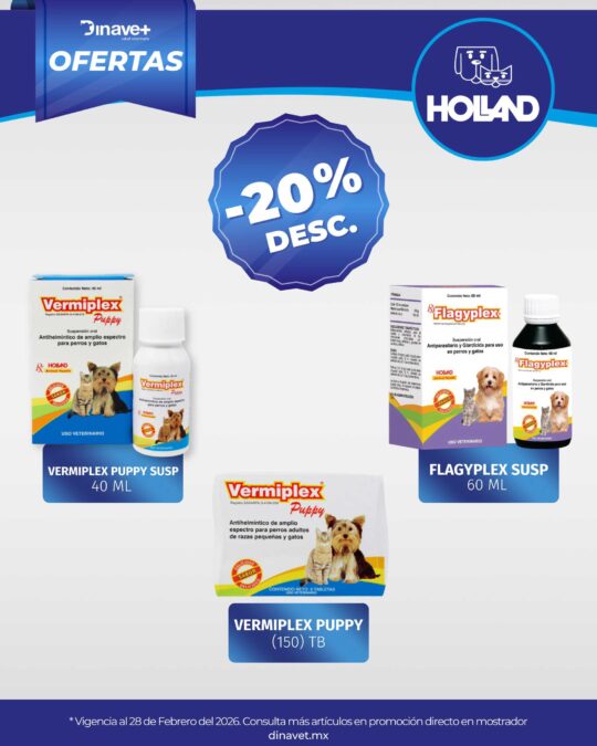 Ofertas Holland