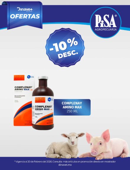 OFERTA COMPLENAY PISA