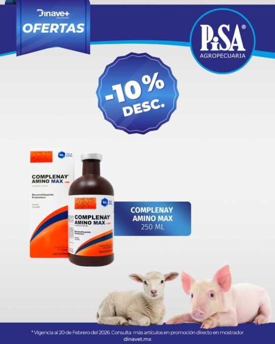 OFERTA COMPLENAY PISA