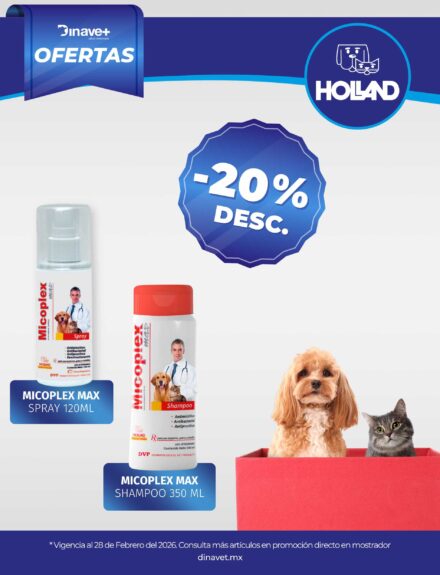 Oferta Holland