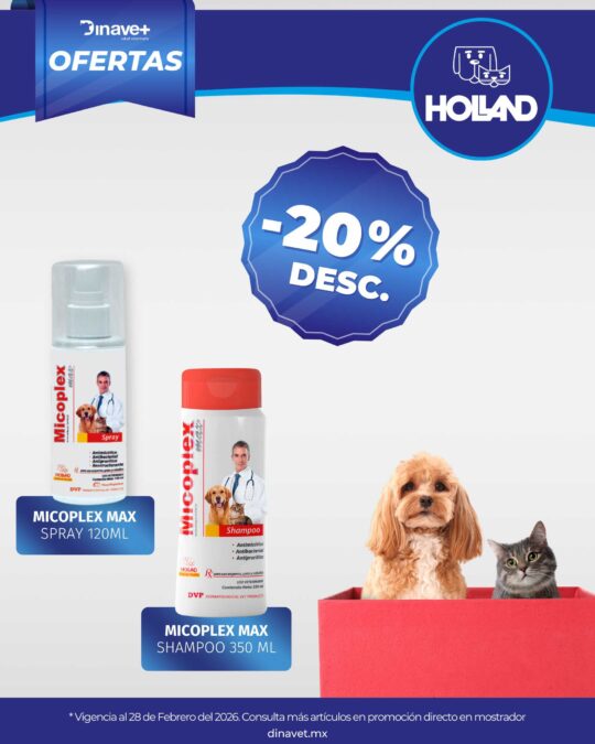 Oferta Holland