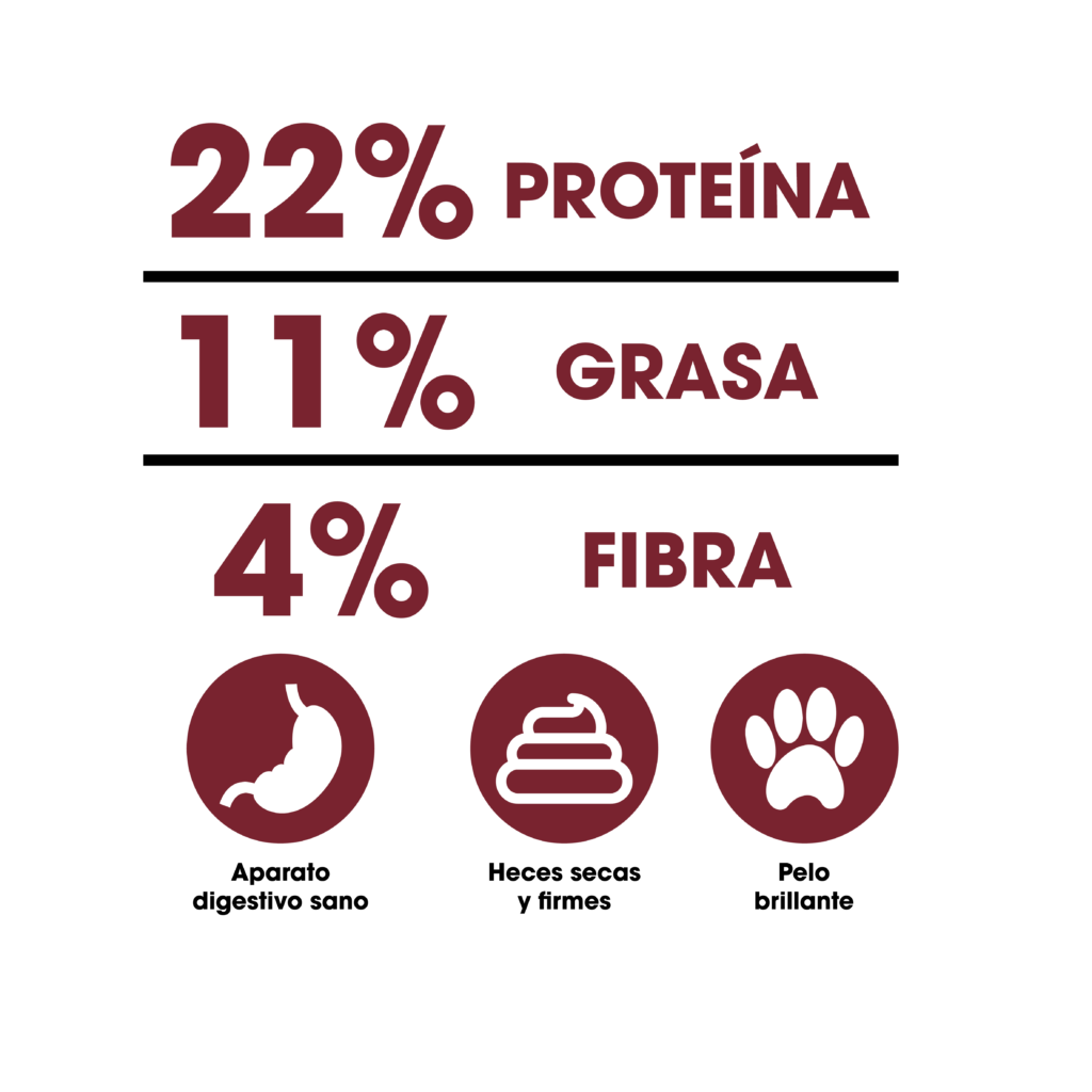 Análisis garantizado Dinapet