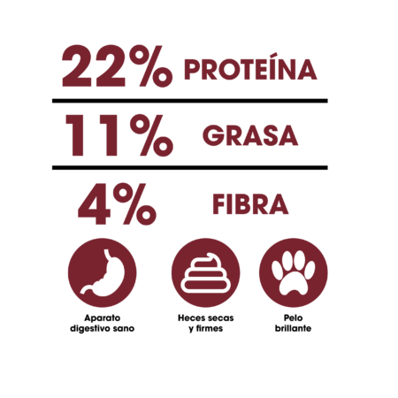 Análisis garantizado Dinapet