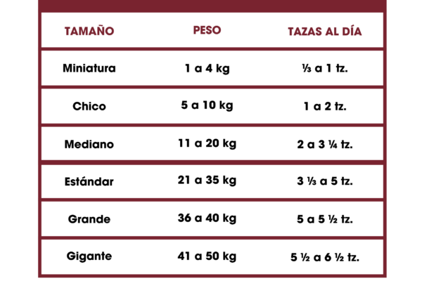 Raciones diarias Dinapet