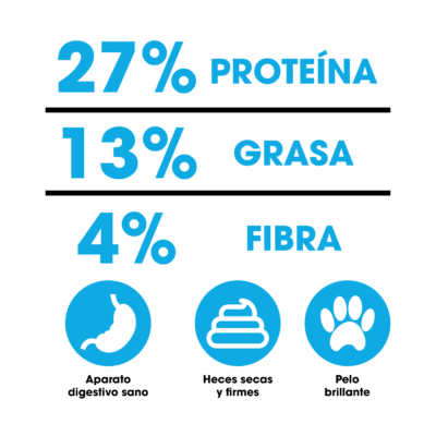 Análisis garantizado Dinapuppy