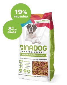 Dinadog análisis