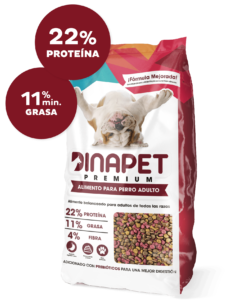 Dinapet análisis