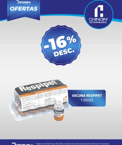 OFERTA-CHINOIN-16-DESC