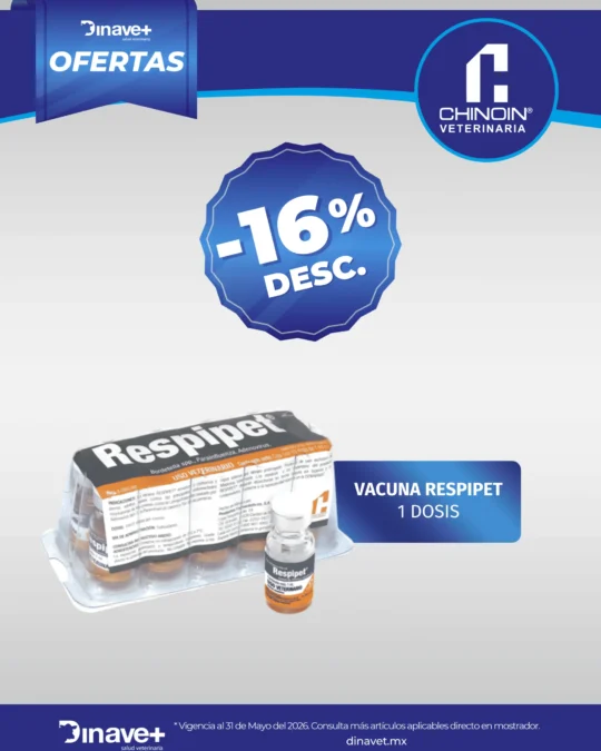 OFERTA-CHINOIN-16-DESC