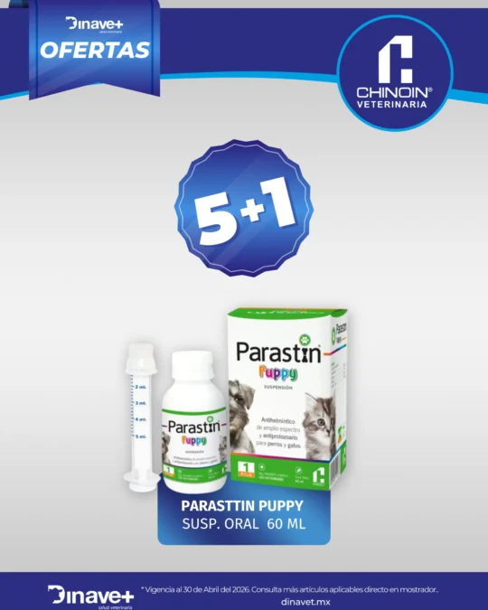 OFERTA-PATASRIN-PUPPY_1