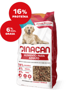 Dinacan croquetas