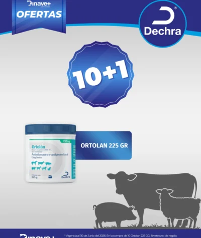 PROMO-DECHRA