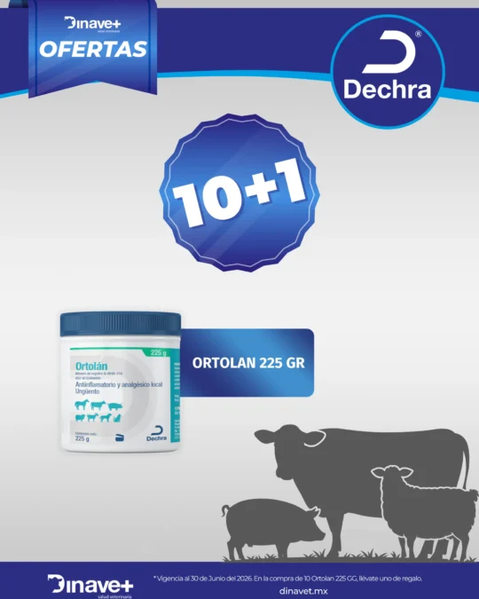 PROMO-DECHRA