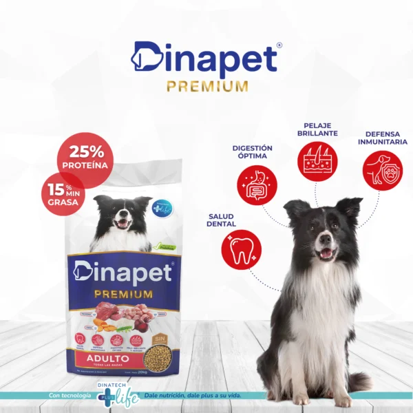Dinapet-Premium-adulto (1) Dinapet-Premium-adulto (1)