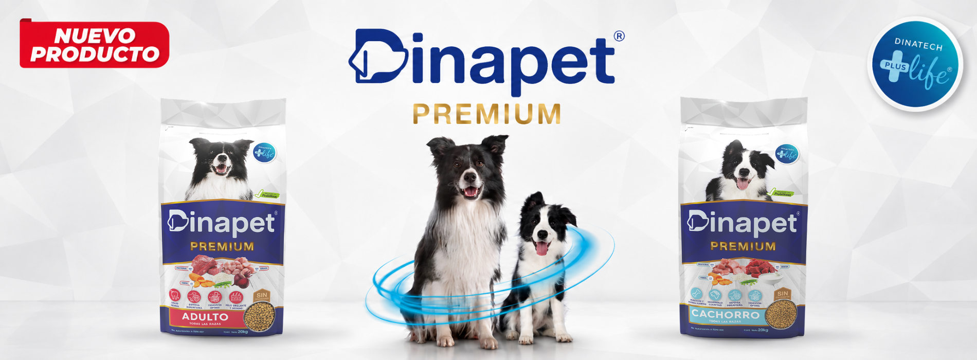 Dinapet-Premium-landing
