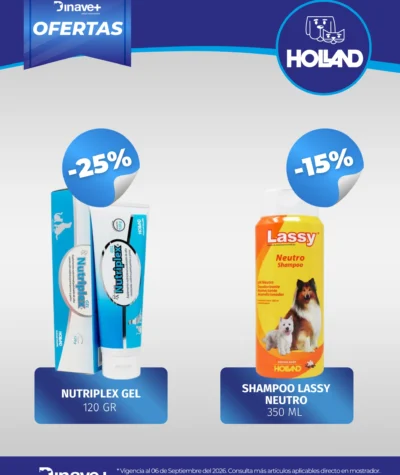 OFERTA-HOLLAND-06-SEP