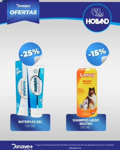 OFERTA-HOLLAND-06-SEP