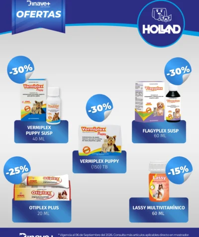 OFERTAS-HOLLAND-06-SEP_1
