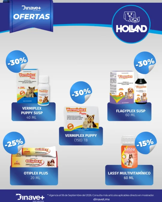 OFERTAS-HOLLAND-06-SEP_1