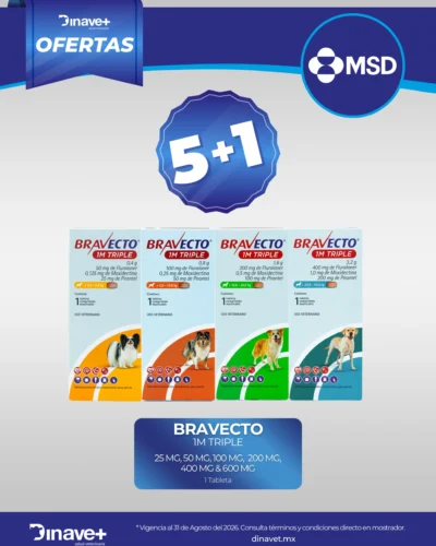 BRAVECTO-5-1-1M-TRIPLE-1TB