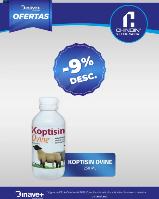 KOPTISIN CHINOIN copy
